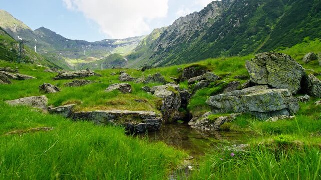 Rocky Alpine Meadow in the Carpathian Mountains