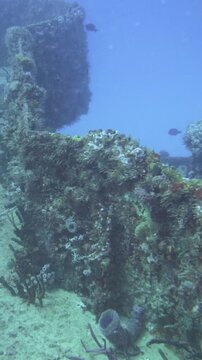 Underwater view surveys an encrusted porthole area and nearby gun structure on C-56 Juan Escutia in Puerto Morelos, Quintana Roo, Mexico.