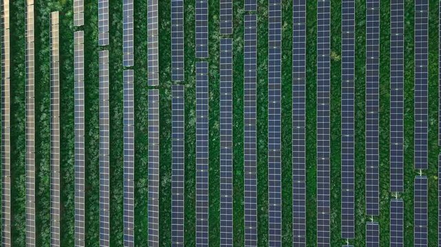 Top Down Aerial View of Solar Panel Rows