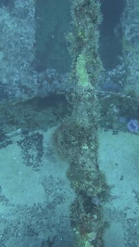 Elevated underwater view looks across the front of an encrusted gun mount on C-56 Juan Escutia shipwreck, Puerto Morelos, Quintana Roo, Mexico.