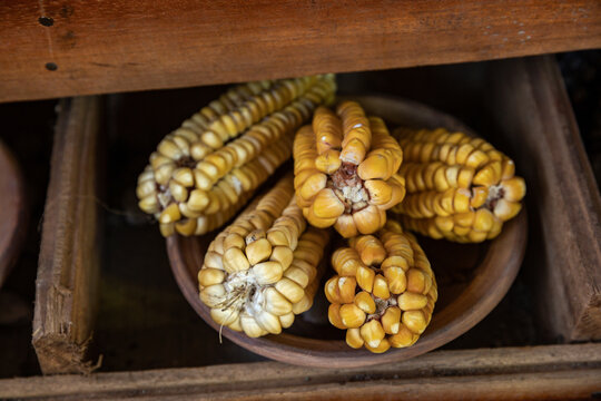 Different varieties of corn, native potatoes, chu&ntilde;o, from the Peruvian Andes