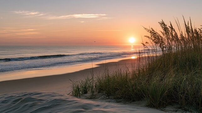 Sunrise over the Delaware seashore: dunes, sea oats, and a tranquil ocean at dawn