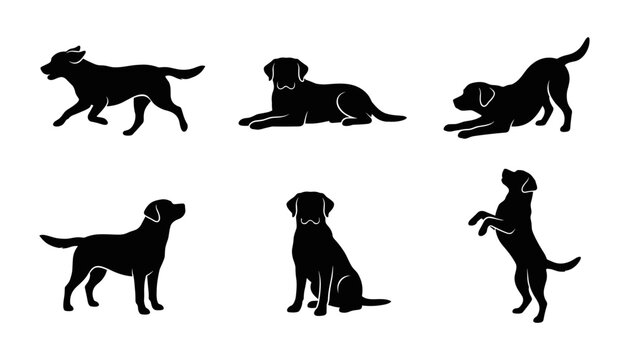 Set of silhouettes of a labrador dog in various poses