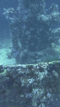 Underwater camera tilts upward from the wreck deck toward a heavily encrusted gun structure on C-56 Juan Escutia, Puerto Morelos, Quintana Roo, Mexico.