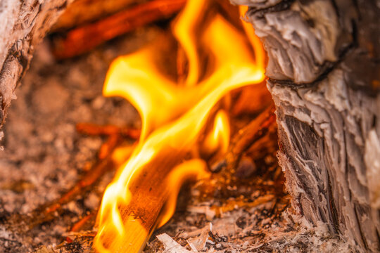 Bright flames burning charred wood in close-up