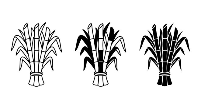 Sugarcane Stalks Vector Icons, Tropical Plant Illustrations, Sweetener Ingredient Graphics, Agricultural Harvest Symbols