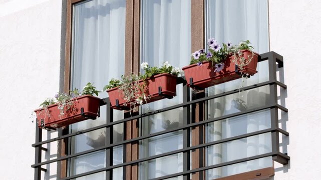 French-style balcony decorated with colorful flower boxes on the facade of a modern country house, with large windows and bright natural summer light.
