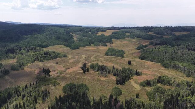 Aerial of Uinta Wasatch Cache National Forest meadows and coniferous trees Utah with vast rolling hills and dense evergreen forests under a cloudy sky on Soapstone Basin Road