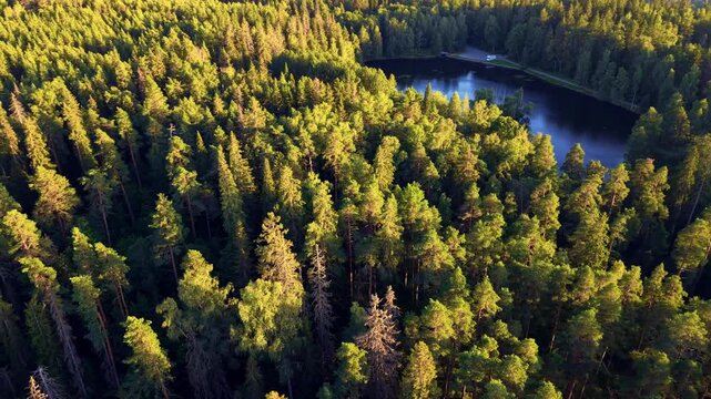 Aerial footage of forest with pond and distant city in Finland H&auml;meenlinna with nice time warp effect. 