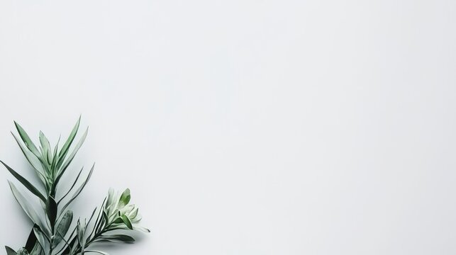 Green plant on light background with space for text or design elements