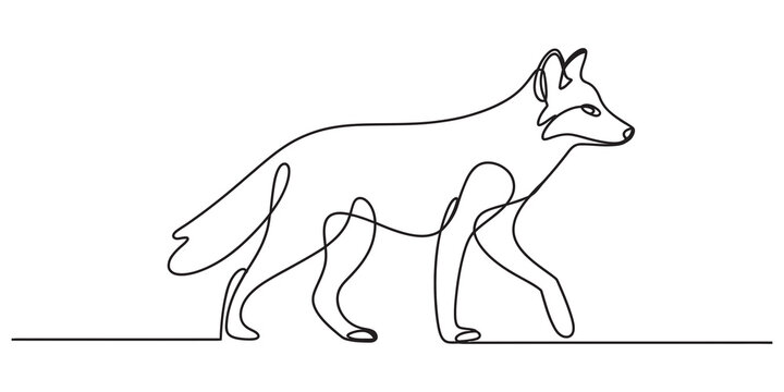 Continuous line drawing of a fox walking