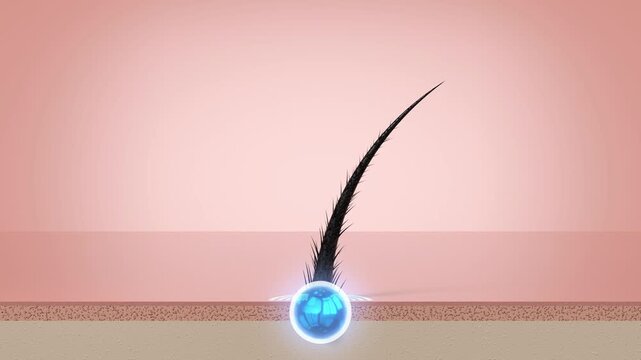Damaged Hair Strand Repair with Cosmetics Serum Shampoo Round Drop and Glowing Circle - 3d 4k Animation (3840 x 2160 px)