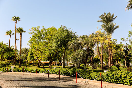 hotel grounds with meticulously landscaped gardens and lush greenery showcasing expert horticultural design.