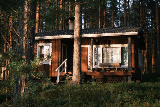 View of a traditional wooden cabin nestled in a dense pine forest in Finland.