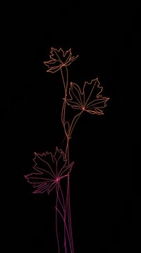 Maple leaves created with a single line design show a gradient from orange to pink against a dark background in autumn.