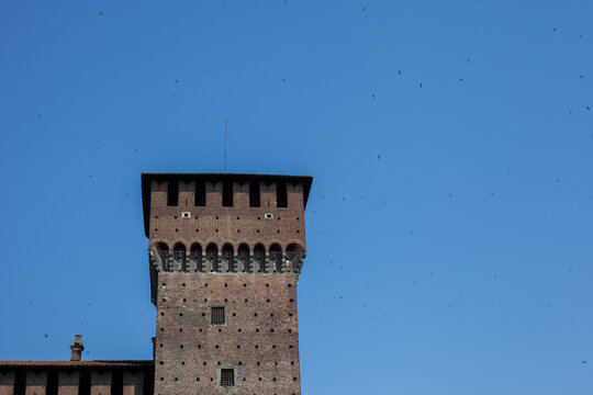 Ancient Tower of Sforza Castle Brick Facade in Milan City Center Italy. Blue sky with birds