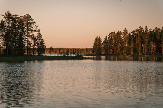 View of a calm lake surrounded by a dense pine forest under the warm light of the golden hour in Finland.