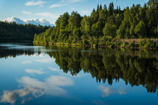 View of a calm lake reflecting the dense pine forest and blue sky with soft clouds in Finland.