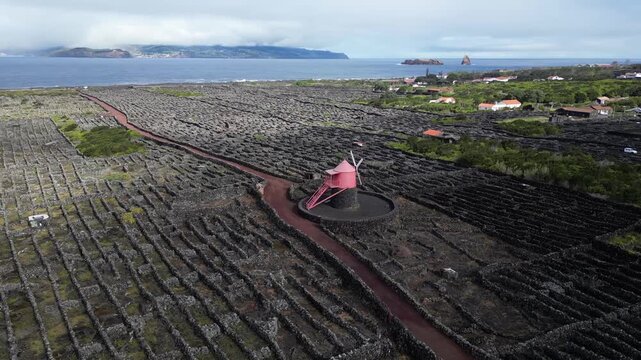 Drone View of Pico Island Vineyard Culture in Cria&ccedil;&atilde;o Velha, Azores, Portugal, UNESCO World Heritage