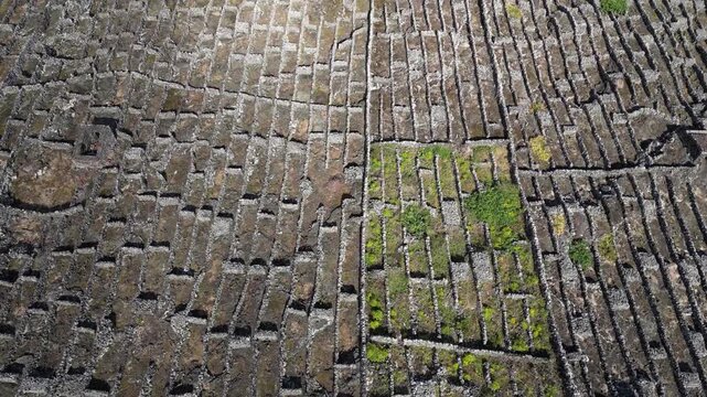Drone View of Pico Island Vineyard Culture in Cria&ccedil;&atilde;o Velha, Azores, Portugal, UNESCO World Heritage