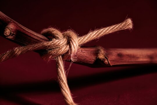 Tied rope knot on branch in deep red dramatic light