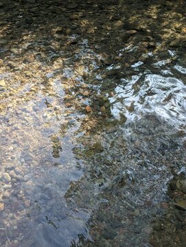 Crystal clear river water over pebbles, shallow stream bed with sun reflections, natural flowing water texture for background