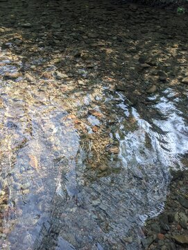 Natural riverbed with clear flowing water, rocky stream bottom texture, outdoor wilderness creek landscape