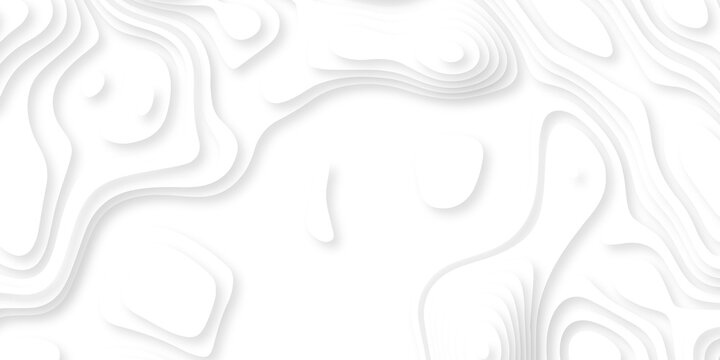 Contour map white line terrain curves white paper cut layers design. Topographic map background geographic line map. White wave paper curved reliefs landscape. 