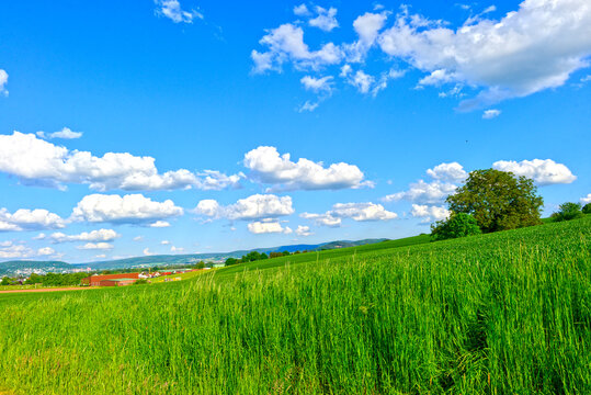 Saftig gr&uuml;ne H&uuml;gellandschaft mit Blick auf das Gr&uuml;ndautal unter blauem Wolkenhimmel in Hessen 