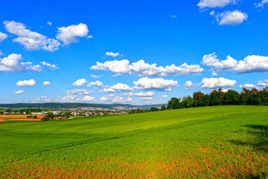 Weite gr&uuml;ne H&uuml;gellandschaft mit Blick auf das Gr&uuml;ndautal und Nieder-Gr&uuml;ndau unter blauem Himmel in Hessen 