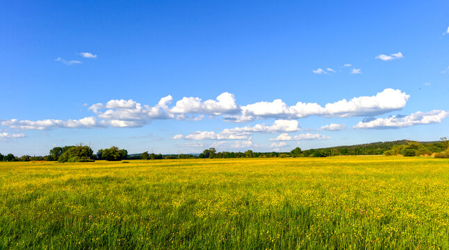 Idyllische Auenlandschaft im Kinzigtal bei Langenselbold in Hessen unter blauem Sommerhimmel