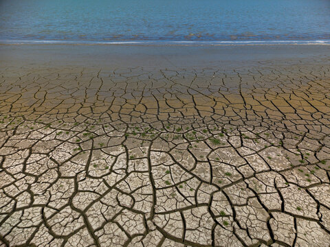 Aerial view of the cracked, dry bed of Lake Trasimeno near the Cooperativa fra Pescatori Stella del Lago with sparse green vegetation in Castiglione del Lago, Umbria, Italy.