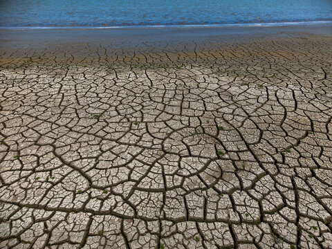 Aerial view of the cracked, parched earth of the dried-up lake bed near the Cooperativa fra Pescatori Stella del Lago, Castiglione del Lago, Umbria, Italy.
