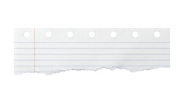 Torn piece of white lined notebook paper with red margin isolated on white background