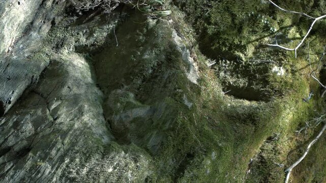真夏の岩肌に川の光が反射して煌めく渓流の風景
