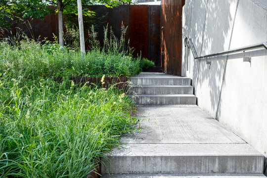 Beside a white wall, concrete stairs climb as plants and trees fill the shadow, while greenery and landscaping frame the surrounding urban architecture.