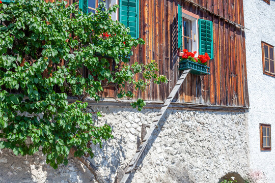 Rustic Wooden Facade of Alpine House with Small Cat Ladder and Red Flowers under Sunny Summer Sky.
