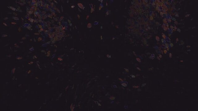 Bright red fish stands out against a chaotic dark crowd symbolizing individuality and bipolar mood shifts in a 3D abstract background