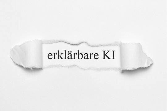 erklärbare KI	
