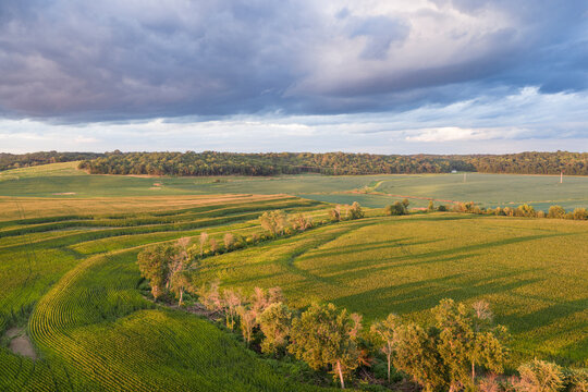 rural landscape of central MIssouri with corn and soybean fields