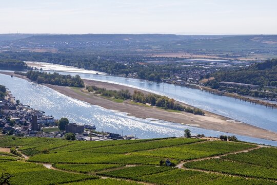 August 2026, Extremes Niedrigwasser am Mittelrhein***Der Rhein bei R&uuml;desheim und Bingen, fotografiert vom Aussichtspunkt Niederwalddenkmal