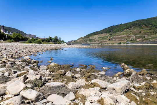 August 2026, Extremes Niedrigwasser am Mittelrhein***Der Rhein bei Trechtingshausen