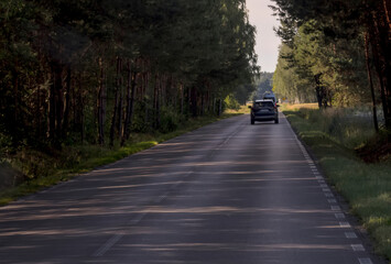Leśna asfaltowa droga w województwie świętokrzyskim w letnie popołudnie w Polsce. Droga jest otoczona wysokimi drzewami iglastymi, tworzącymi baldachim, przez który prześwituje światło słoneczne.  © Grzegorz