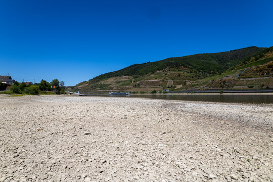 August 2026, Extremes Niedrigwasser am Mittelrhein***Der Rhein bei Trechtingshausen