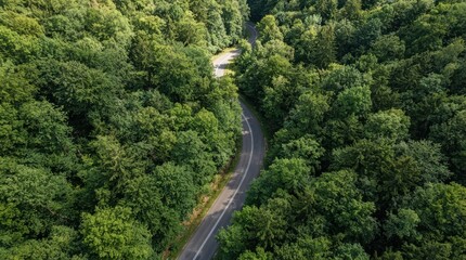 Fototapeta premium Aerial view of winding forest road