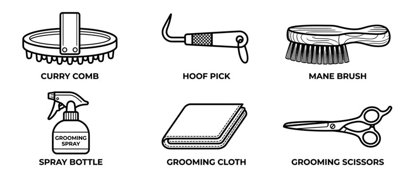 Animal Grooming Tools Collection Isolated Icons