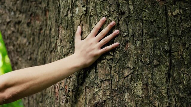 mano de hombre en un arbol conectando con la naturaleza