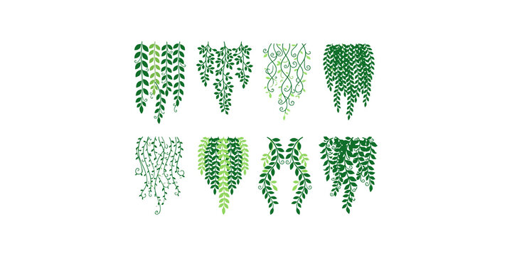 Set of green vine leaves isolated on transparent background, plant vector elements collection for your designs.