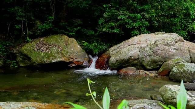 Arroyo que fluye entre la rocas en la selva tropical
