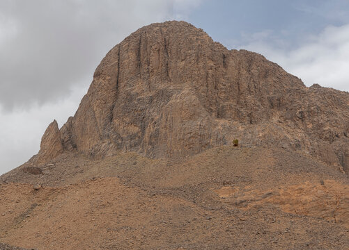 A rocky volcanic mountain peak in the Atakor field of the Hoggar Mountains near Tamanrasset, Algeria, features a solitary green tree growing on its lower scree slope under an overcast sky.